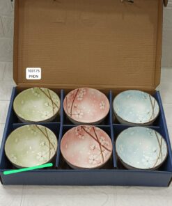 Ceramic bowl pack of 6