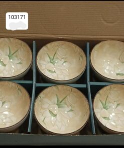 Ceramic bowl set 6pcs