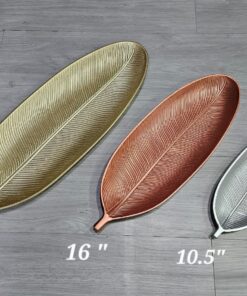 Plate "19"