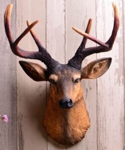 Deer Showpics