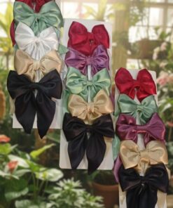Korean Fashion Hair Clip (Pack of 5)