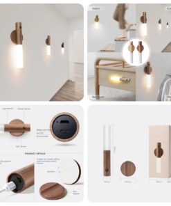 Intelligence induction light SK